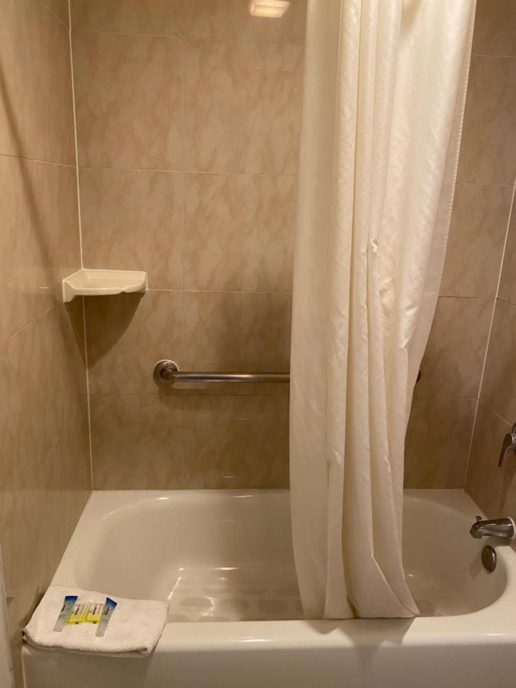 Large Single Room interior